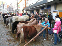 Pferdemarkt 2010