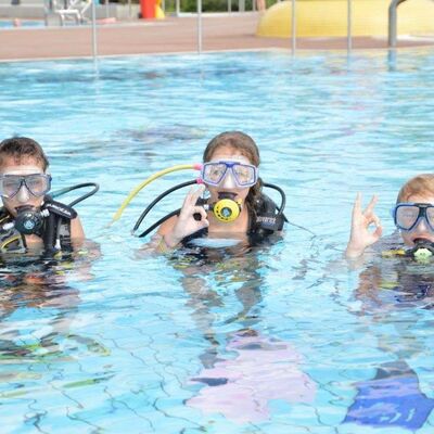 Bild vergr&ouml;&szlig;ern: Tauchen mit Tauchausrüstung