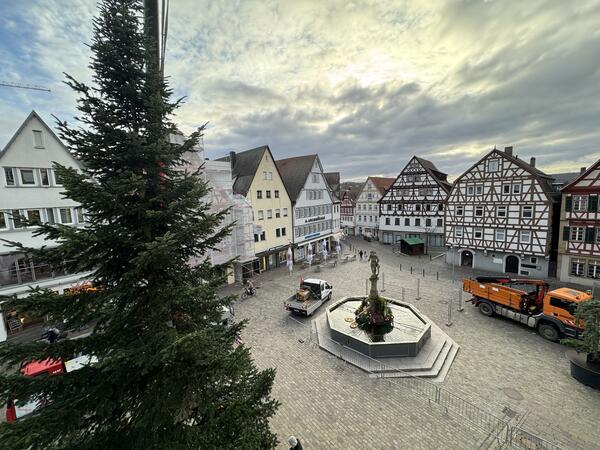 Weihnachtsbaum Marktplatz 2023