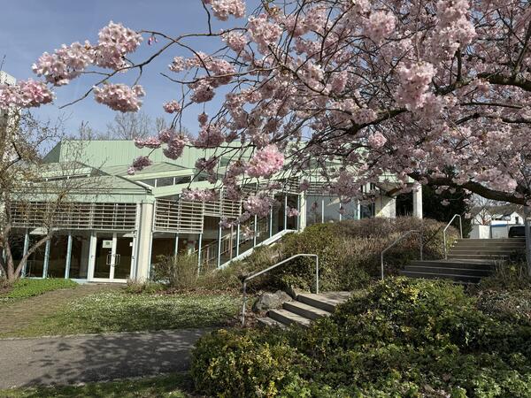 Bild vergr&ouml;&szlig;ern: Eine Treppe im Außenbereich führt nach oben. Von rechts ragt im Vordergrund ein Kirschblütenzweig in das Bild. Im Hintergrund ist ein Teil der Fassade der Stadthalle zu sehen.
