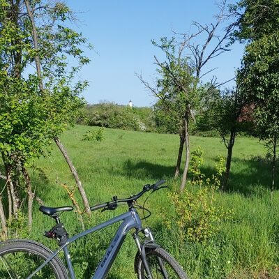 Bild vergr&ouml;&szlig;ern: E Bike Engelberg