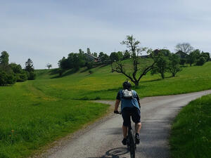 Blick auf eine Feldweggabelung der sich ein Radfahrer nähert. Am Rand des sich teilenden Weges steht ein karger Baum mit drei Ästen. Hinter dem Baum befindet sich eine Kuppe auf der ein Hof steht,  