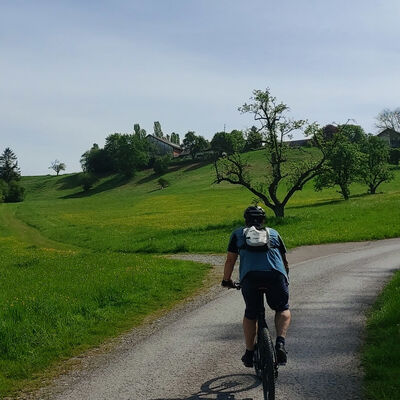 Bild vergr&ouml;&szlig;ern: Blick auf eine Feldweggabelung der sich ein Radfahrer nähert. Am Rand des sich teilenden Weges steht ein karger Baum mit drei Ästen. Hinter dem Baum befindet sich eine Kuppe auf der ein Hof steht,