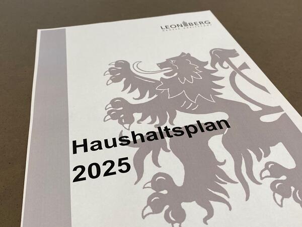 Haushaltsplan 2025
