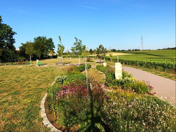 Neuer Friedhof Höfingen, Gesamtanlage
