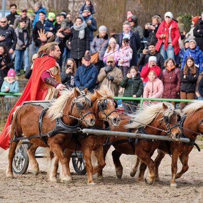 Bild vergr&ouml;&szlig;ern: Gespannwettbewerb