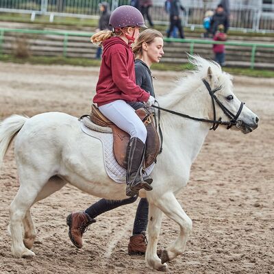 Bild vergr&ouml;&szlig;ern: Ponyreiten