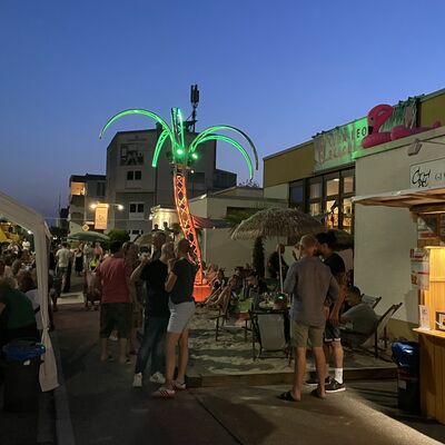 Bild vergr&ouml;&szlig;ern: Bild vom Samstagabend mit beleuchteter Palme