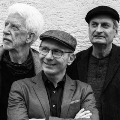 Bild vergr&ouml;&szlig;ern: Fellin Good Blues Trio