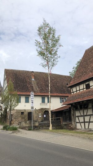Maibaum
