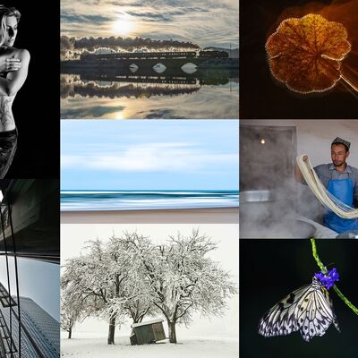 Collage aus gezeigten Fotos