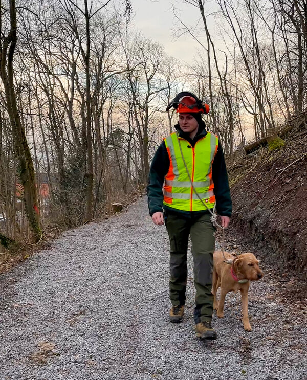 Bild vergr&ouml;&szlig;ern: Leon Rommel