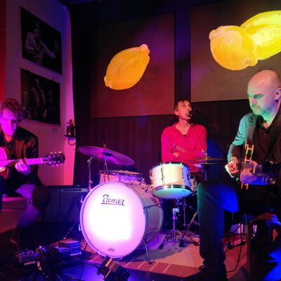 Bild vergr&ouml;&szlig;ern: Kischkat Kühner Weiss-Trio