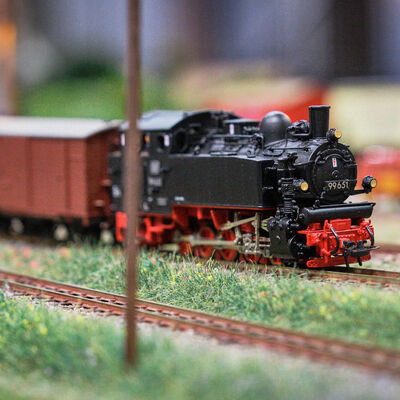 Bild vergr&ouml;&szlig;ern: Pferdemarkt 2026: Swing die Hufe und Modelleisenbahnausstellung