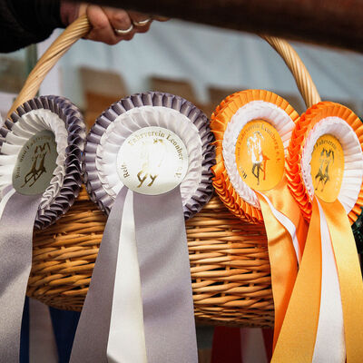 Bild vergr&ouml;&szlig;ern: Pferdemarkt 2026: Stadtmeisterschaften im Tilgshäusle