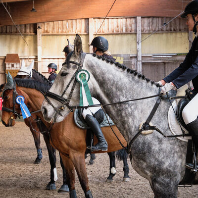 Bild vergr&ouml;&szlig;ern: Pferdemarkt 2026: Stadtmeisterschaften im Tilgshäusle