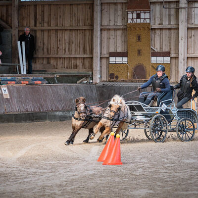 Bild vergr&ouml;&szlig;ern: Pferdemarkt 2026: Stadtmeisterschaften im Tilgshäusle