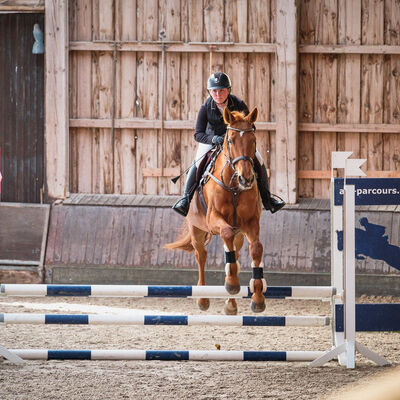 Bild vergr&ouml;&szlig;ern: Pferdemarkt 2026: Stadtmeisterschaften im Tilgshäusle