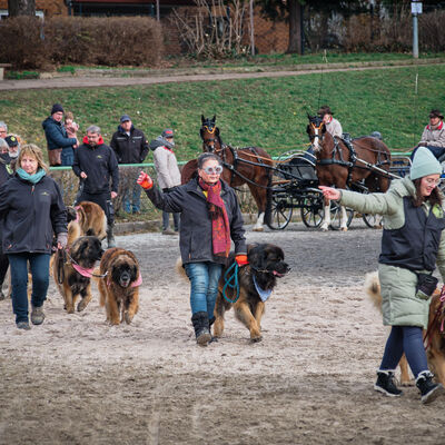 Bild vergr&ouml;&szlig;ern: Pferdemarkt 2026: Rathaussturm und Reiterstadion