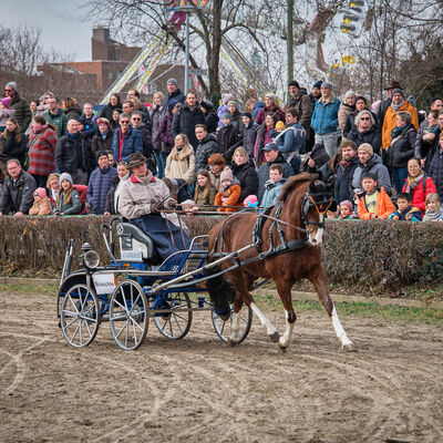 Bild vergr&ouml;&szlig;ern: Pferdemarkt 2026: Rathaussturm und Reiterstadion