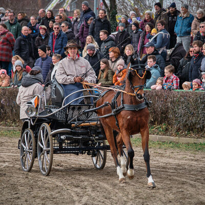 Bild vergr&ouml;&szlig;ern: Pferdemarkt 2026: Rathaussturm und Reiterstadion
