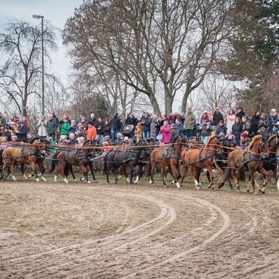 Bild vergr&ouml;&szlig;ern: Pferdemarkt 2026: Rathaussturm und Reiterstadion