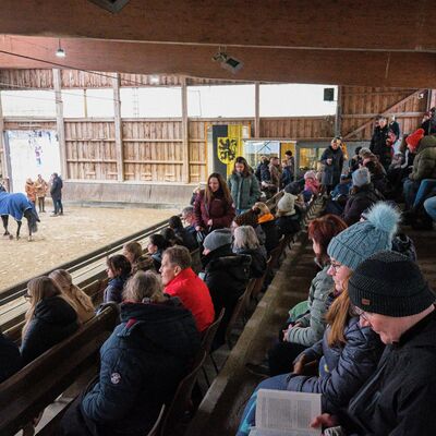 Bild vergr&ouml;&szlig;ern: Pferdemarkt 2026: Hippologische Fachtagung