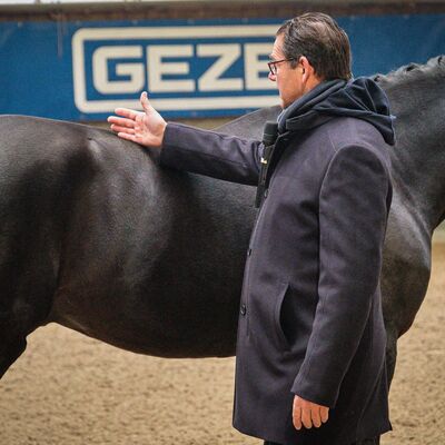 Bild vergr&ouml;&szlig;ern: Pferdemarkt 2026: Hippologische Fachtagung