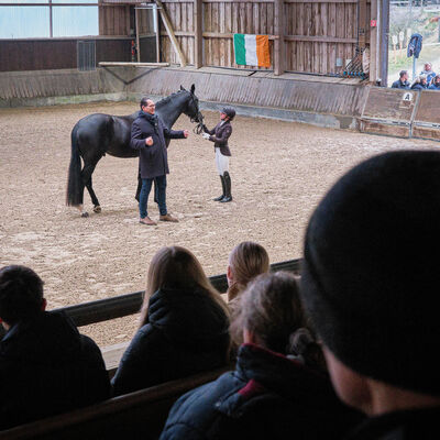 Bild vergr&ouml;&szlig;ern: Pferdemarkt 2026: Hippologische Fachtagung