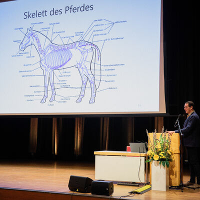 Bild vergr&ouml;&szlig;ern: Pferdemarkt 2026: Hippologische Fachtagung