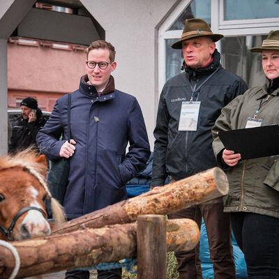 Bild vergr&ouml;&szlig;ern: Pferdemarkt 2026: Haupttag