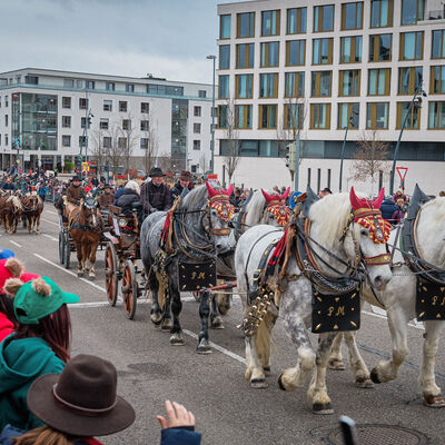 Bild vergr&ouml;&szlig;ern: Pferdemarkt 2026: Haupttag