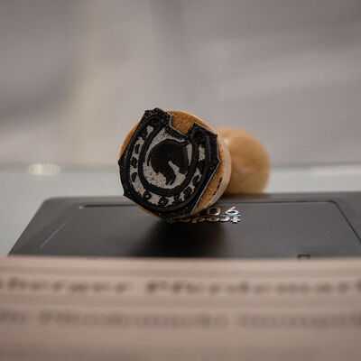 Bild vergr&ouml;&szlig;ern: Pferdemarkt 2026: Eröffnung und Familienprogramm