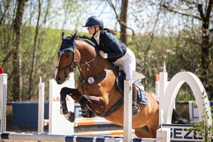 Late Entry Springen im Frühjahr 2025