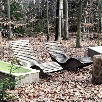 Bild vergr&ouml;&szlig;ern: Relaxen im Wald