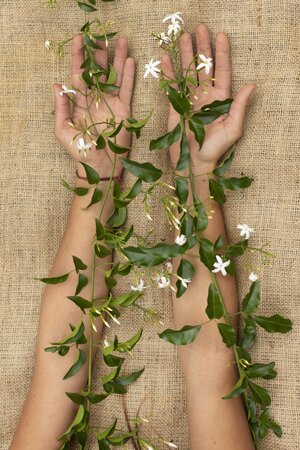 Platzhalter (22) - Naturheilkunde und Pflanzen