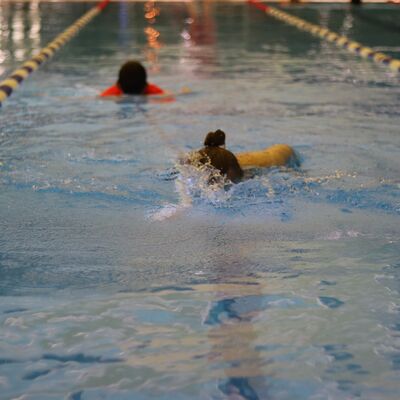 Bild vergr&ouml;&szlig;ern: Rettungsschwimmen