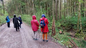 Frühblüherwanderung