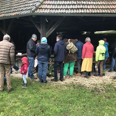 Bild vergr&ouml;&szlig;ern: Pflanzenflohmarkt