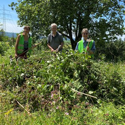 Bild vergr&ouml;&szlig;ern: Grünhaufen