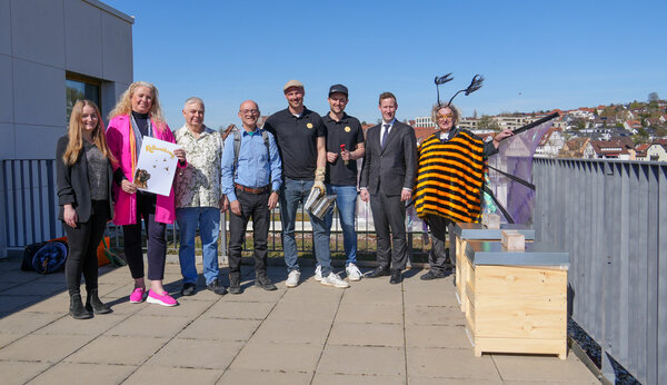 Bild vergr&ouml;&szlig;ern: Rathausbienen