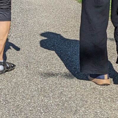 Bild vergr&ouml;&szlig;ern: Foto_Walken