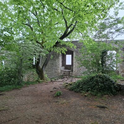 Bild vergr&ouml;&szlig;ern: Burgruine Rosenstein