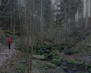 Tälesbach bei Calw