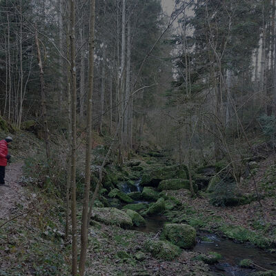 Bild vergr&ouml;&szlig;ern: Tälesbach bei Calw