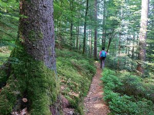 Unterwegs auf dem Seensteig
