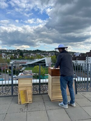 Bild vergr&ouml;&szlig;ern: Jakob Schwarz setzt einen zweiten Honigraum auf das rechte Bienenvolk.
