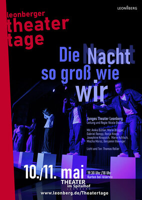 Bild vergr&ouml;&szlig;ern: Plakat zum Stück: Die Nacht so groß wie wir. 
Gespielt von Junges Theater Leonberg