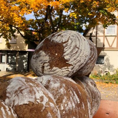 Bild vergr&ouml;&szlig;ern: Frischgebackenes Brot