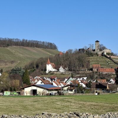Blick auf Burg Hohenbeilstein